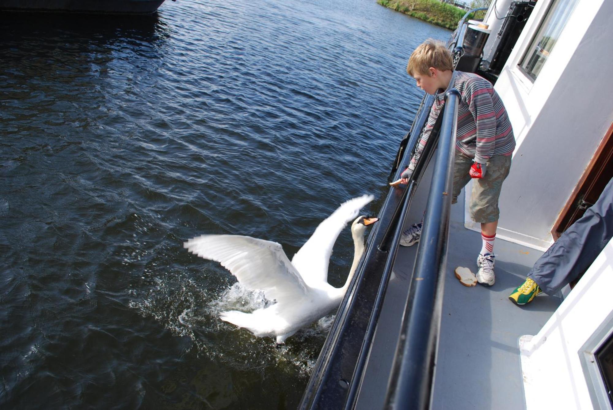 Hotelboot Zwaan Amsterdam Esterno foto